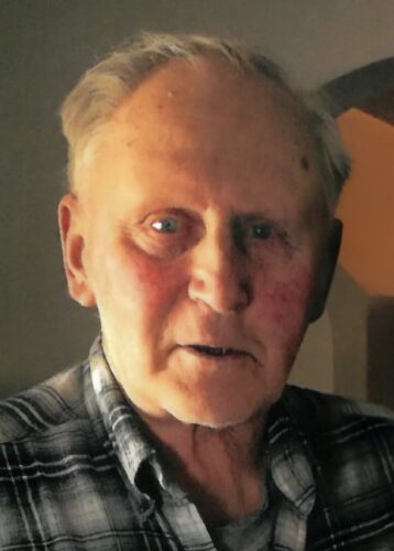 Marlin Fitzner
